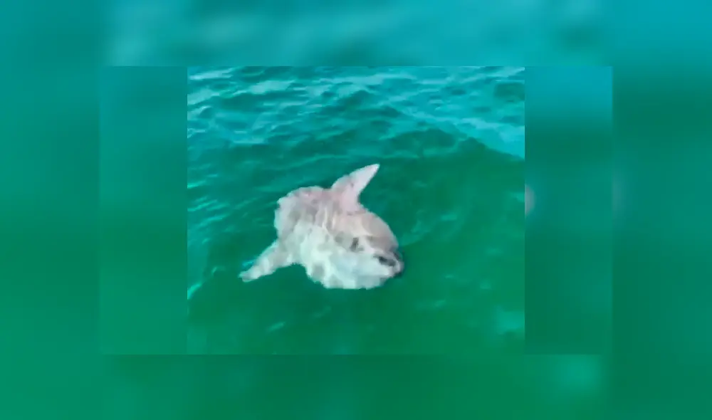 Desliza cada captura del video viral de YouTube hacia la izquierda.