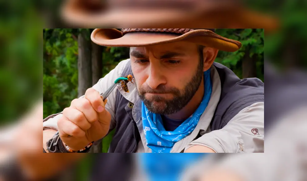 Un video muestra al famoso 'Coyote' Peterson siendo picado por una letal avispa gigante japonesa.