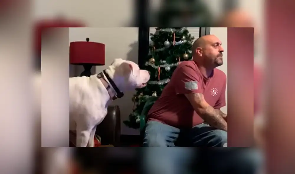 Desliza hacia la izquierda para ver la divertida reacción del perro que es 'famoso' en Facebook. Desliza hacia la izquierda para ver la divertida reacción del perro que es 'famoso' en Facebook.