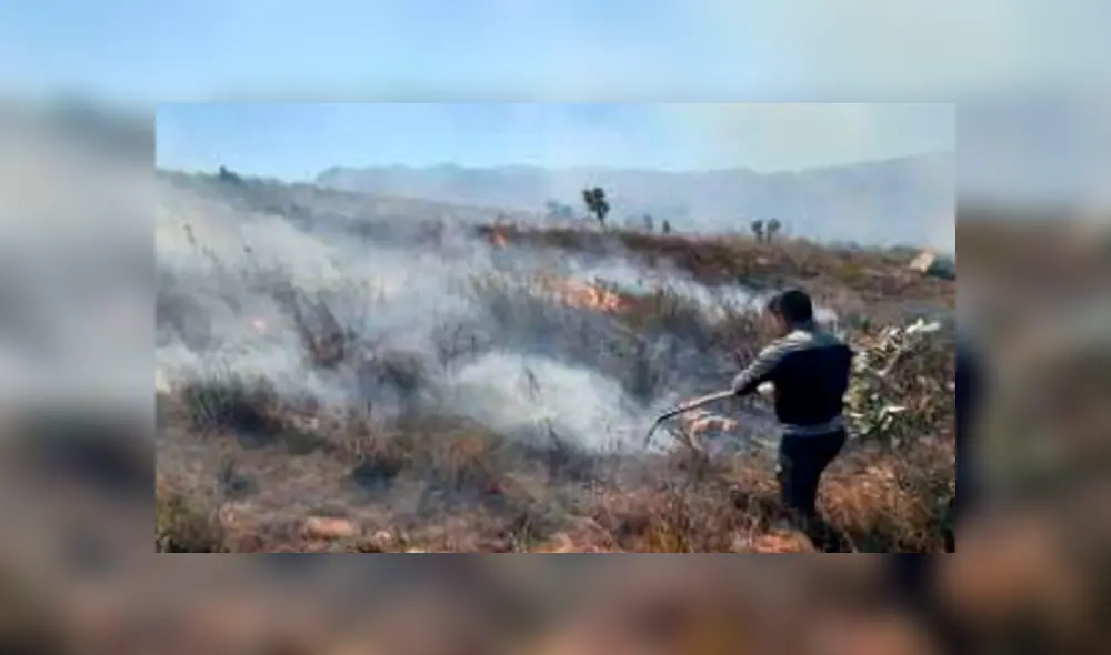 Incendio forestal viene afectado cultivos en Cajamarca. Foto: Andina