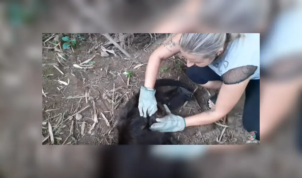 Desliza hacia la izquierda para ver más del video viral.