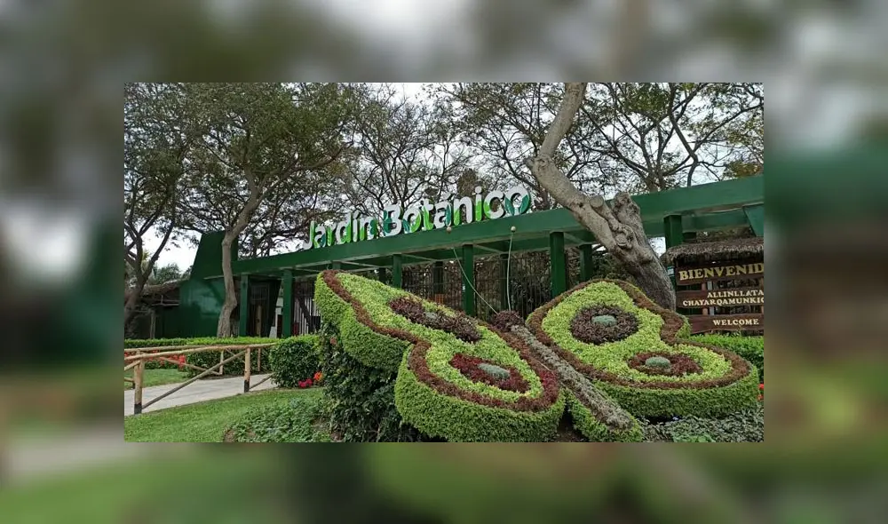 En el marco del Día del árbol, el Parque de las Leyendas invita a venir al Parque de las Leyendas. Créditos: JKarla Cruz / URPI-GLR En el marco del Día del árbol, el Parque de las Leyendas invita a venir al Parque de las Leyendas. Créditos: JKarla Cruz / URPI-GLR
