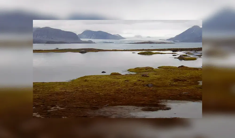 Tundra en las Svalbard, en la región del Ártico al norte de Noruega. Foto: Wikicommons. Tundra en las Svalbard, en la región del Ártico al norte de Noruega. Foto: Wikicommons.