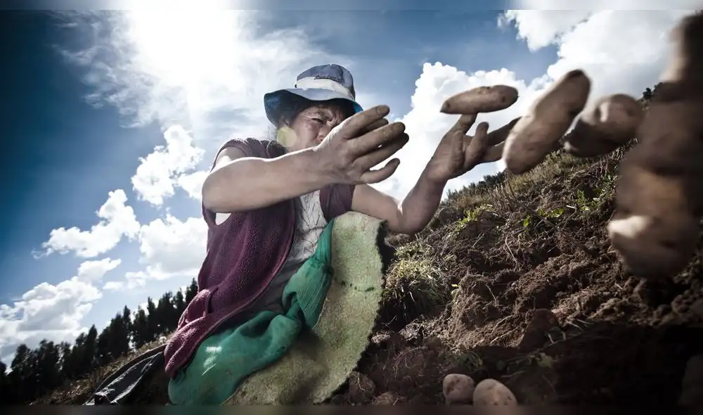 Amplían programa que condona deudas agropecuarias 