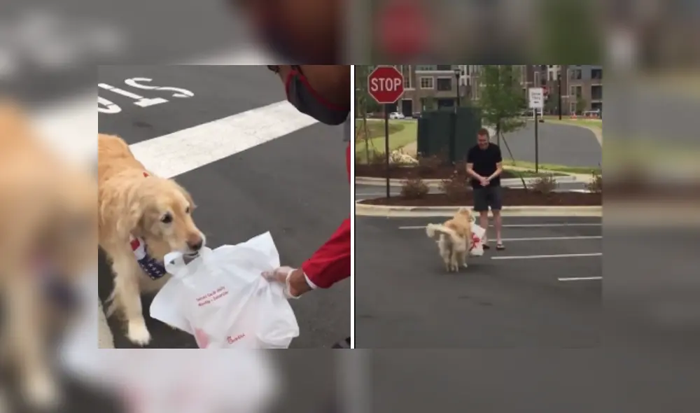 Desliza hacia la izquierda para ver más imágenes de este 'atento' perro que llamó al atención de miles. (Foto: captura / Facebook) Desliza hacia la izquierda para ver más imágenes de este 'atento' perro que llamó al atención de miles. (Foto: captura / Facebook)