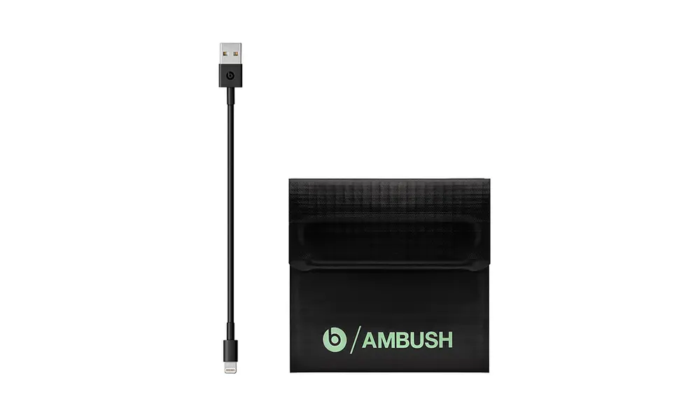 Estuche de transporte y cable USB. Foto: Beats