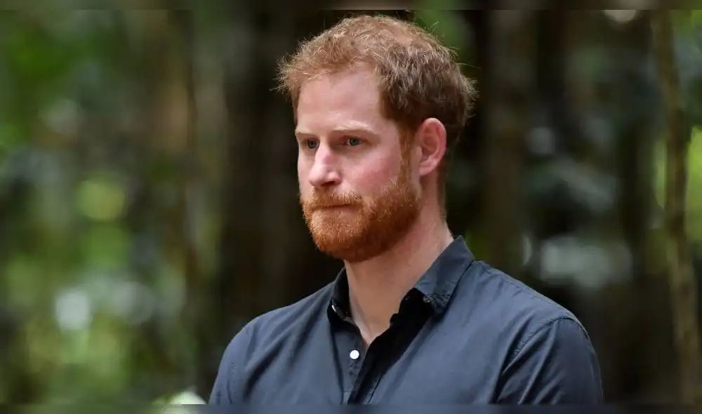 El duque expresó que su hijo no crecería dentro de la familia real (Foto: AFP)