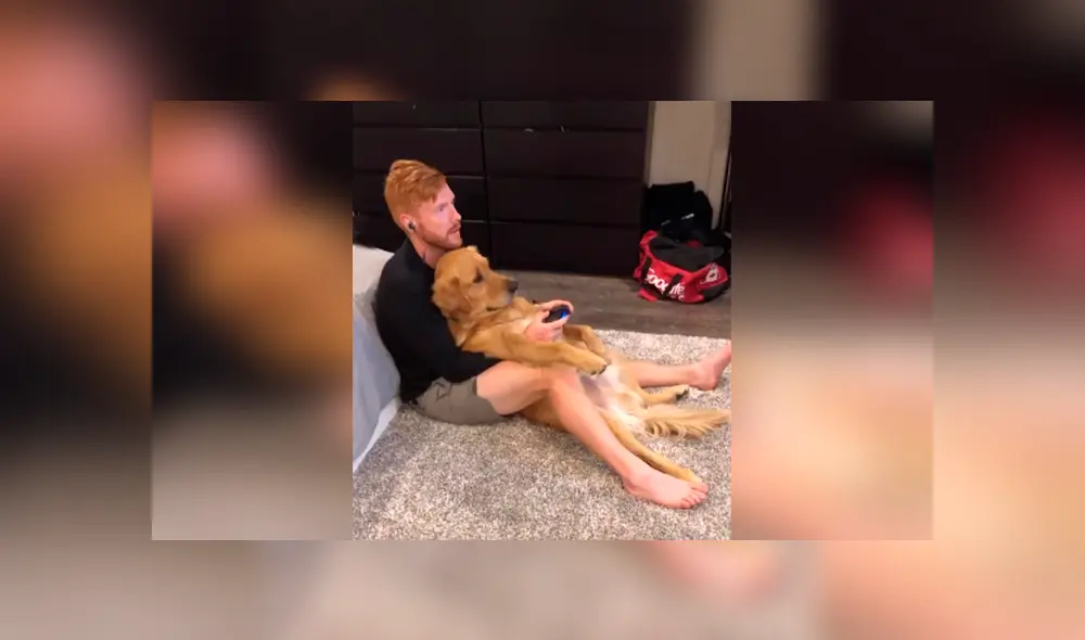 Desliza las imágenes para apreciar el amoroso momento entre un joven junto a la mascota de su pareja. Foto: Woof Woof.