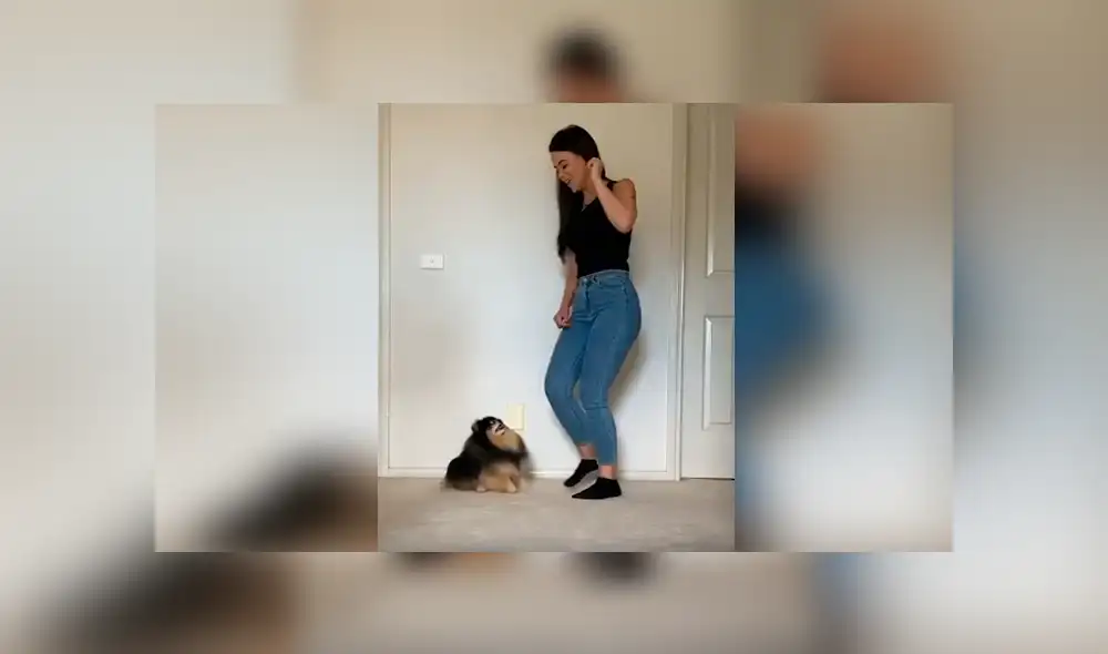 Desliza las imágenes hacia la izquierda para apreciar la divertida coreografía que realizó un perro con su dueña. Desliza las imágenes hacia la izquierda para apreciar la divertida coreografía que realizó un perro con su dueña.