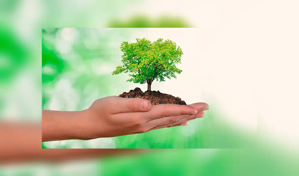 ¿Por qué se celebra el Día Mundial del Medio Ambiente el 5 de junio y cuál es su importancia? ¿Por qué se celebra el Día Mundial del Medio Ambiente el 5 de junio y cuál es su importancia?