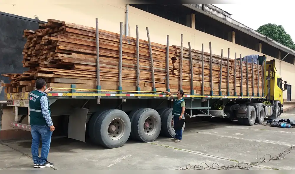 Cajamarca: Serfor decomisa tablares de madera 