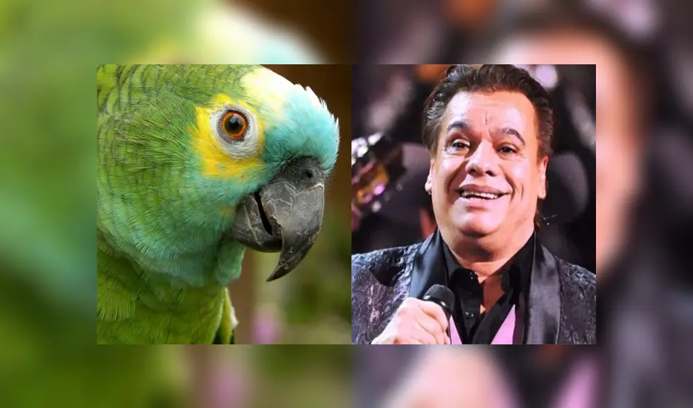 Desliza para ver los detalles del video viral publicado en Facebook. Foto: Captura.