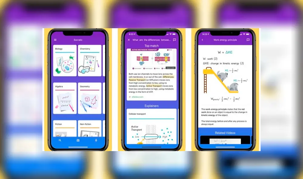 Socratic tiene soluciones para tareas de álgebra, trigonometría, biología, química, física, historia y literatura. Foto: Google.