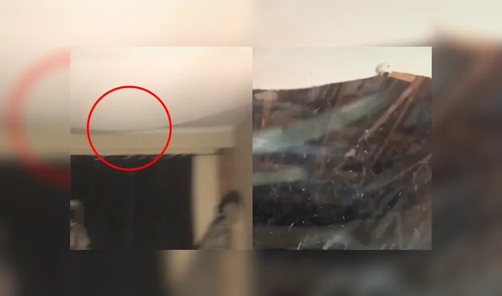 Desliza a la izquierda para ver más sobre este nuevo viral de TikTok. Foto: Captura.