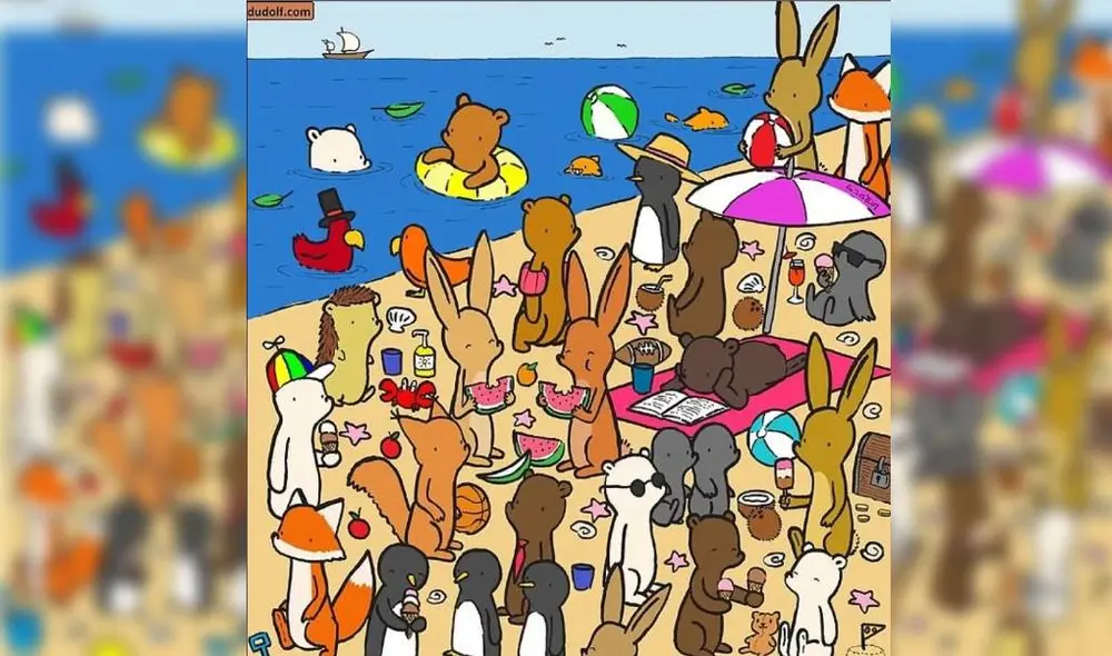 Desliza la ver la solución a este reto visual. Foto: Facebook/Dudolf.com Desliza la ver la solución a este reto visual. Foto: Facebook/Dudolf.com