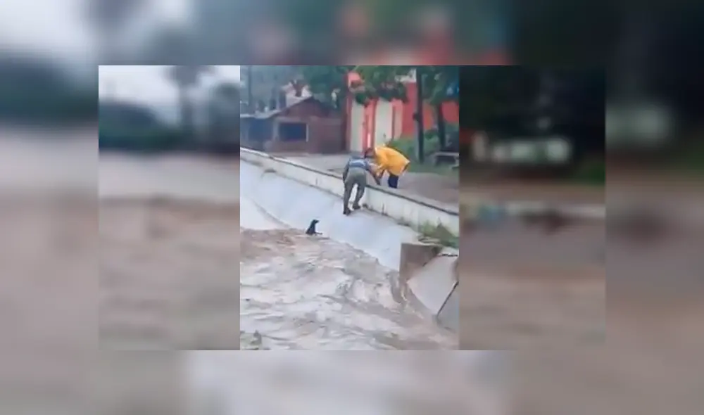En YouTube, un chico se lanzó a un peligroso río para salvar a un perro callejero que suplicaba por ayuda. En YouTube, un chico se lanzó a un peligroso río para salvar a un perro callejero que suplicaba por ayuda.