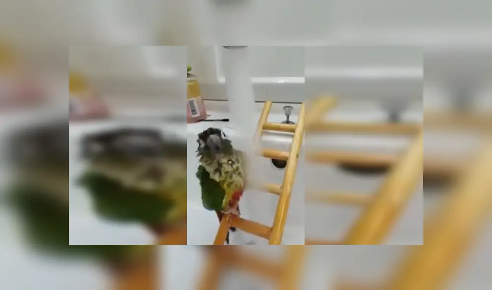 Desliza para ver los detalles del video viral publicado en YouTube. Foto: Captura. Desliza para ver los detalles del video viral publicado en YouTube. Foto: Captura.