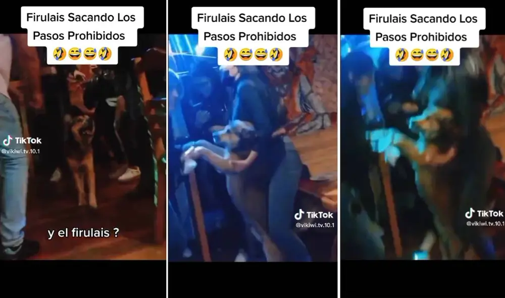 El video ha logrado más de 900.000 visualizaciones en TikTok. Foto: composición LR/captura de TikTok/@vikiwi.tv.10.1