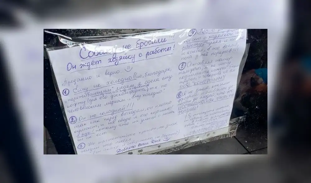 En Facebook se hizo viral la historia de este fiel perro que espera durante largas horas a su dueña.