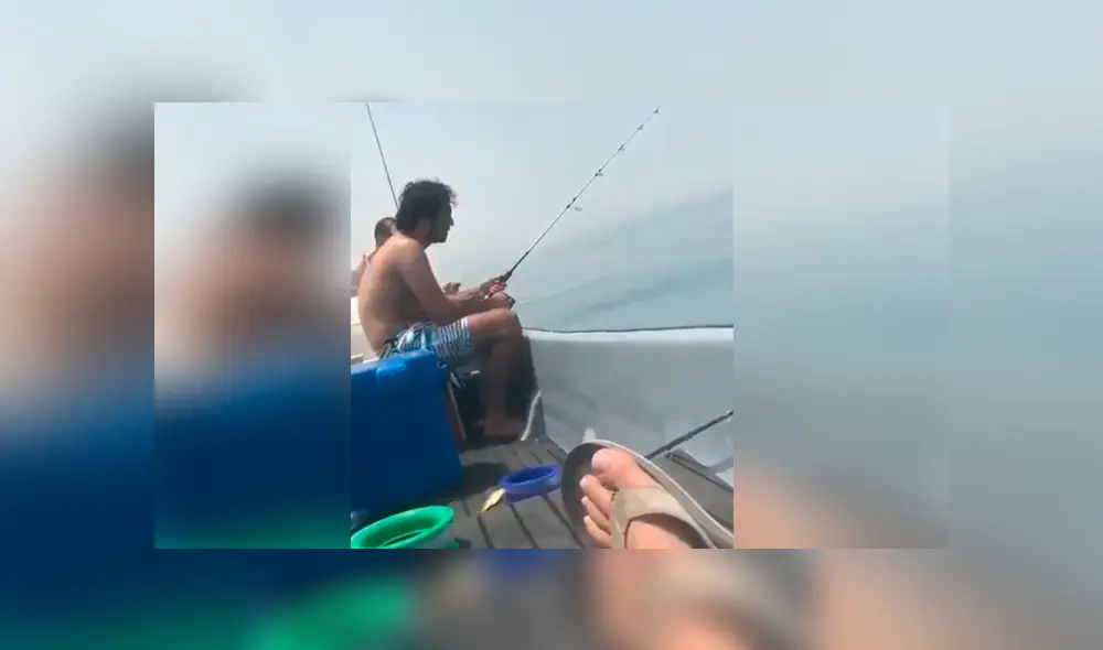 Un video muestra el instante en el que un joven se lleva el susto de su vida al ver un desconcertante ser en el agua. Un video muestra el instante en el que un joven se lleva el susto de su vida al ver un desconcertante ser en el agua.