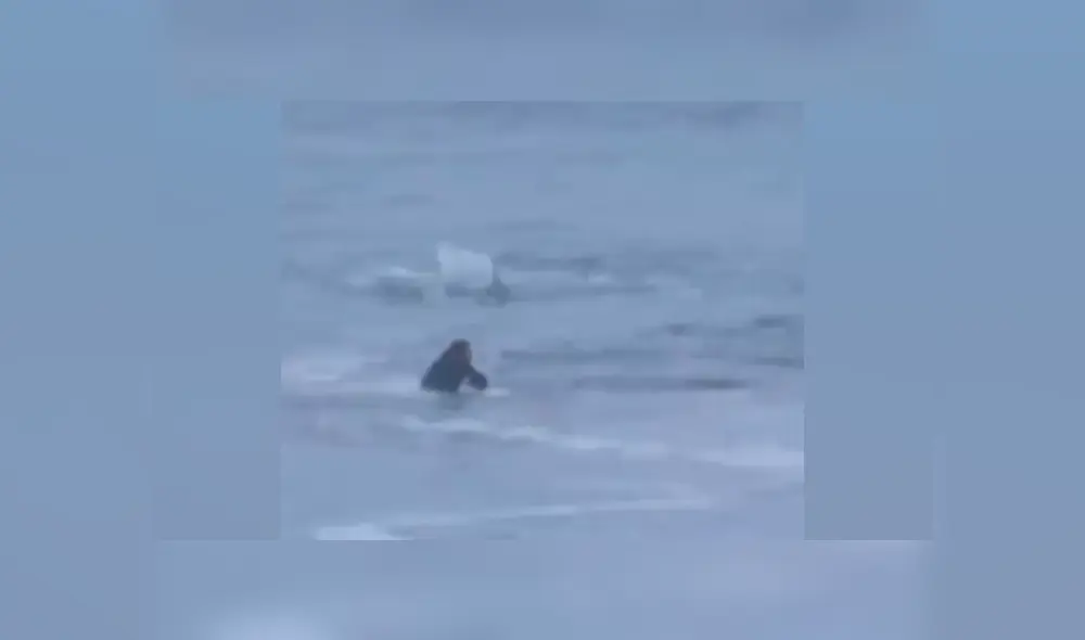 Desliza para ver más del video viral Desliza para ver más del video viral