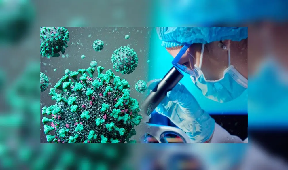 Científicos alemanes analizan a 9 portadores de COVID-19 y comparte la información recabada para mejorar tratamiento durante pandemia. Científicos alemanes analizan a 9 portadores de COVID-19 y comparte la información recabada para mejorar tratamiento durante pandemia.