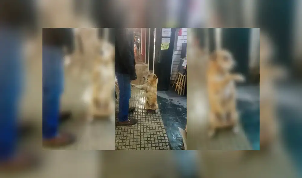 Desliza para ver el desenlace de esta conmovedora historia que es viral en Facebook. Foto: Captura.