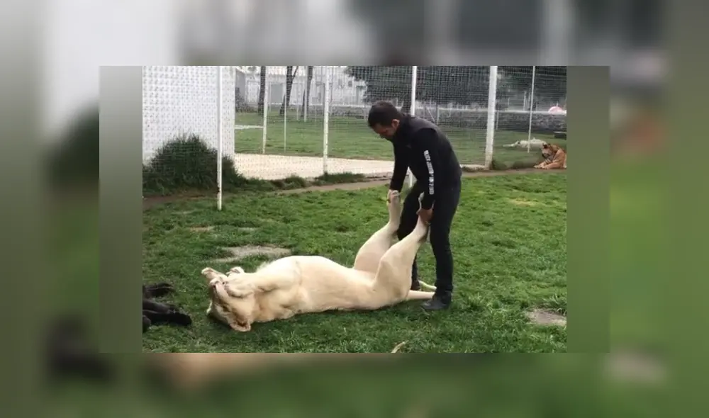 Desliza hacia la izquierda para ver las imágenes del viral de Facebook.