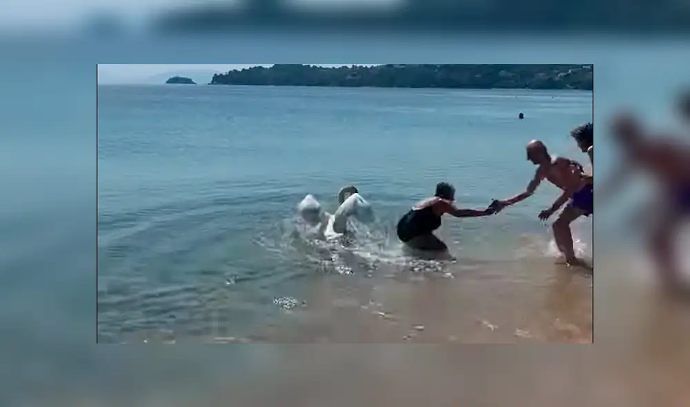 YouTube viral: intenta tomarse 'selfie' con cisne y queda aterrada segundos después [VIDEO]