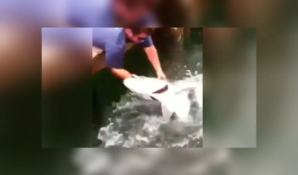 Un hombre fue víctima del ataque de una feroz criatura marina.