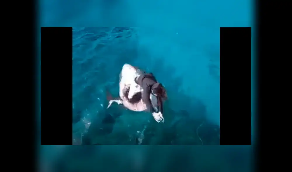 Vía Facebook: graban a chico lanzándose a mar 'infestado' de tiburones y ocurre lo inesperado [VIDEO]