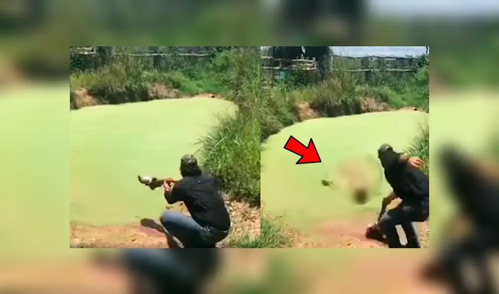 Facebook viral: hombre visitó pantano abandonado, se acerca y enorme reptil intentó devorarlo [VIDEO] 