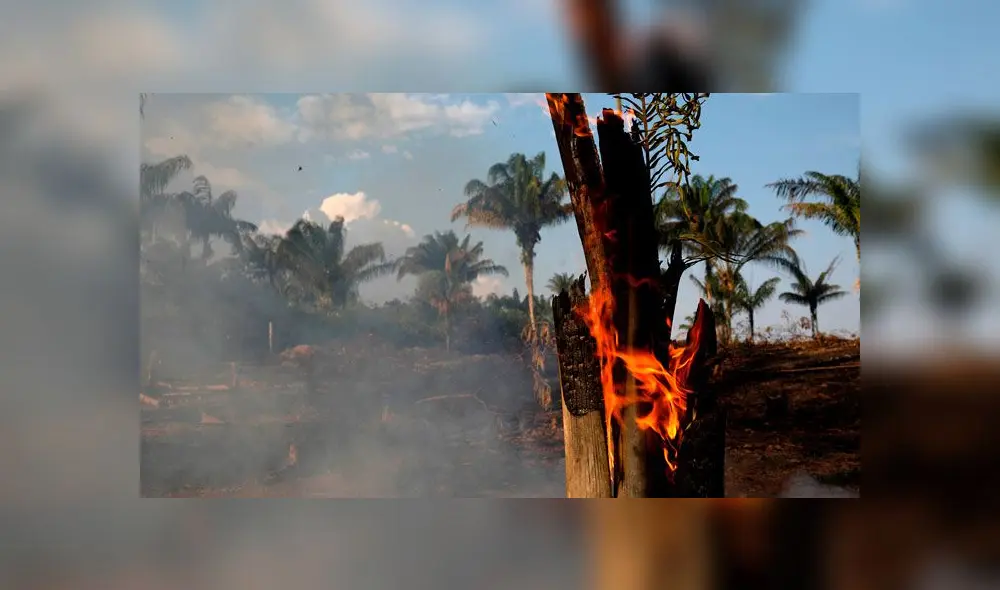 Pray for Amazonas: usuarios de todo el mundo lamentan el incendio en la amazonía de Brasil