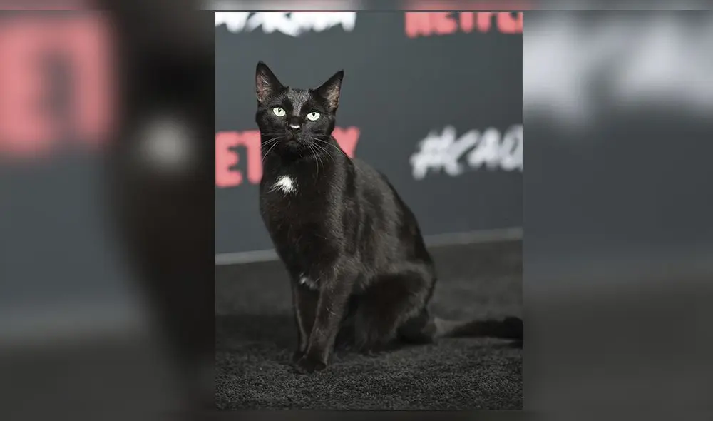 Netflix: Conoce a Salem de 'El Mundo Oculto de Sabrina' [FOTOS]