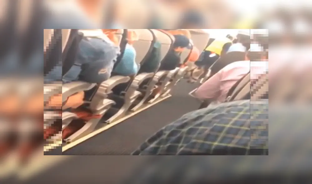 Menudo animal tiene la autorización de viajar junto a los pasajeros en avión y causa furor [VIDEO]