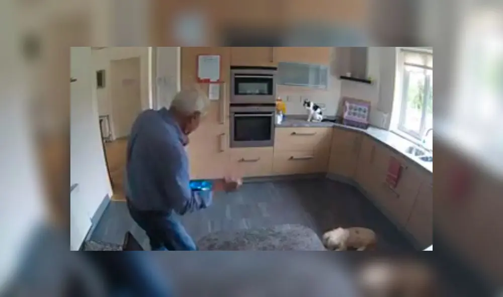 Desliza las imágenes para ver la divertida escena que descubrió una mujer entre su padre y sus mascotas. Foto: RM Videos