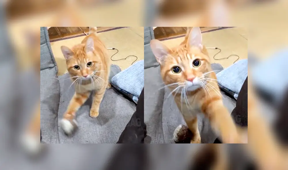 Desliza a la izquierda para ver el gesto que ha conmovido a miles en YouTube. Desliza a la izquierda para ver el gesto que ha conmovido a miles en YouTube.