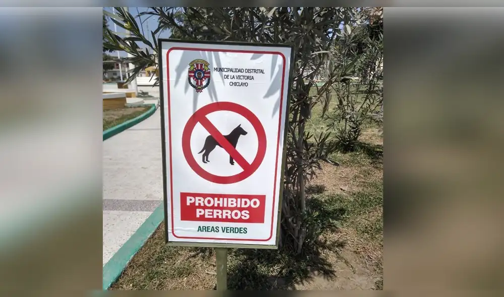 Polémico letrero ha generado opiniones divididas. Polémico letrero ha generado opiniones divididas.