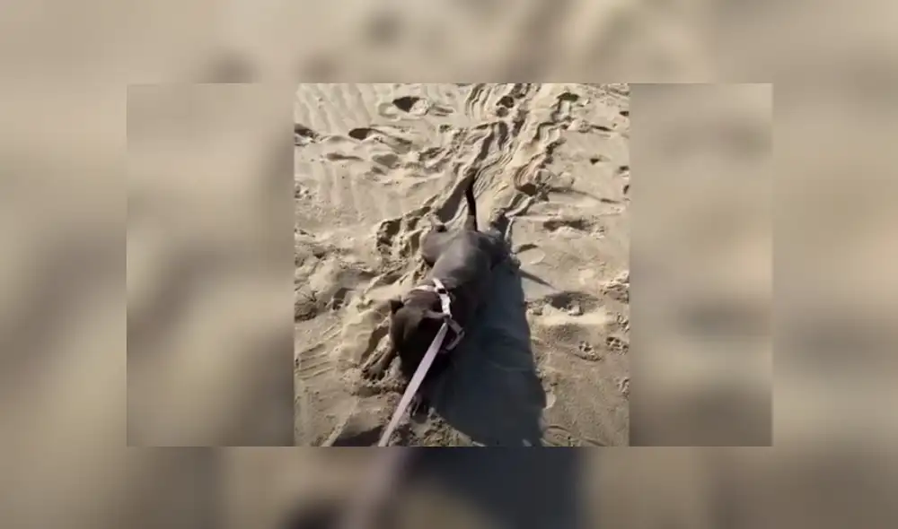 Desliza hacia la izquierda para ver más del video viral. Fotocaptura: YouTube Desliza hacia la izquierda para ver más del video viral. Fotocaptura: YouTube