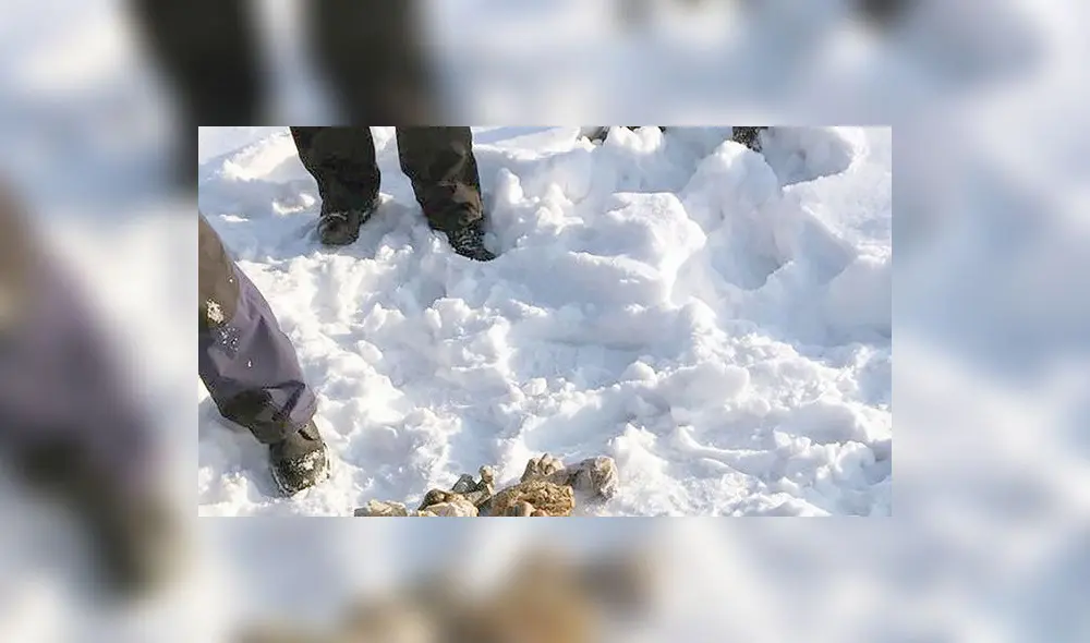 De horror: hallan bolsa con 27 pares de manos en una isla de Siberia [FOTO]