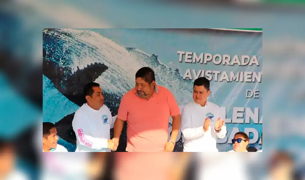 Se pronostica que serán alrededor de 300 mamíferos que pasarán por la costa de Oaxaca. (FOTO: Twitter) Se pronostica que serán alrededor de 300 mamíferos que pasarán por la costa de Oaxaca. (FOTO: Twitter)