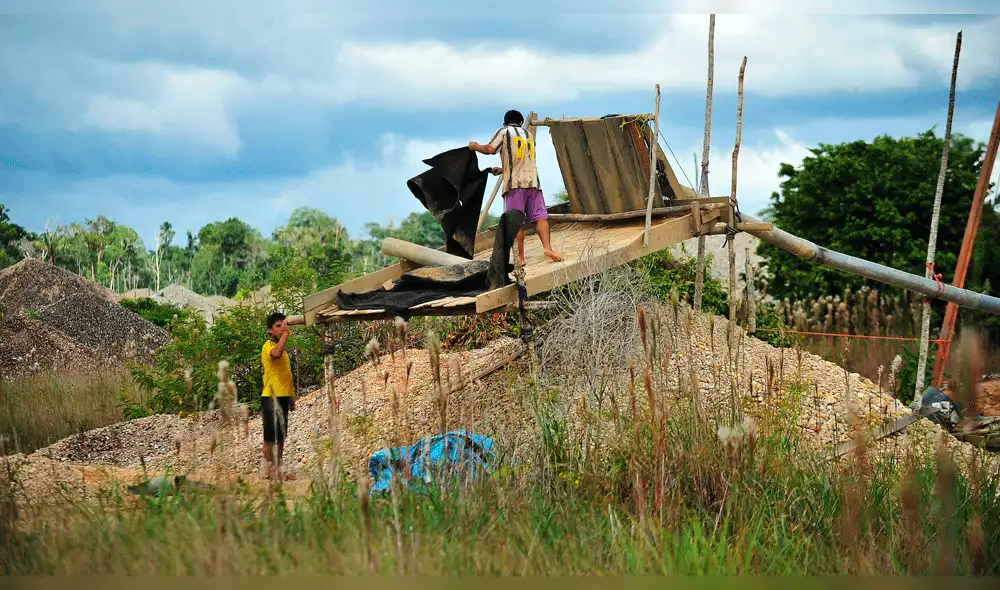 En el 2017, el Perú perdió bosques del tamaño de 200 mil campos de fútbol En el 2017, el Perú perdió bosques del tamaño de 200 mil campos de fútbol