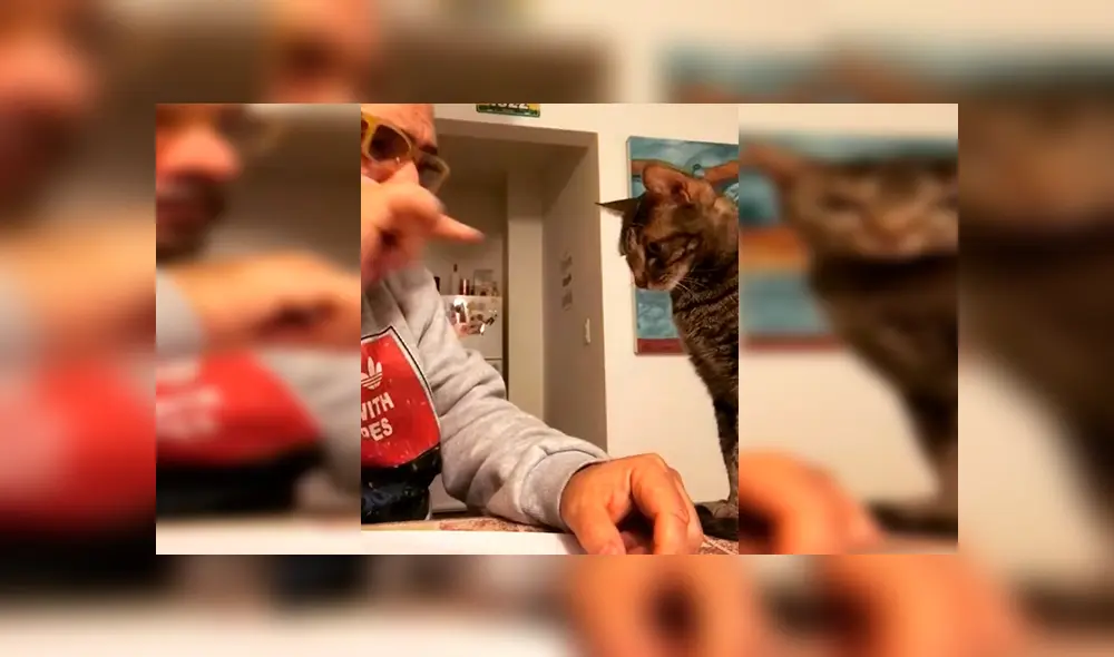 En Facebook, un señor intentó distribuir los quehaceres de la casa con su querida mascota, pero este se queda dormido. En Facebook, un señor intentó distribuir los quehaceres de la casa con su querida mascota, pero este se queda dormido.