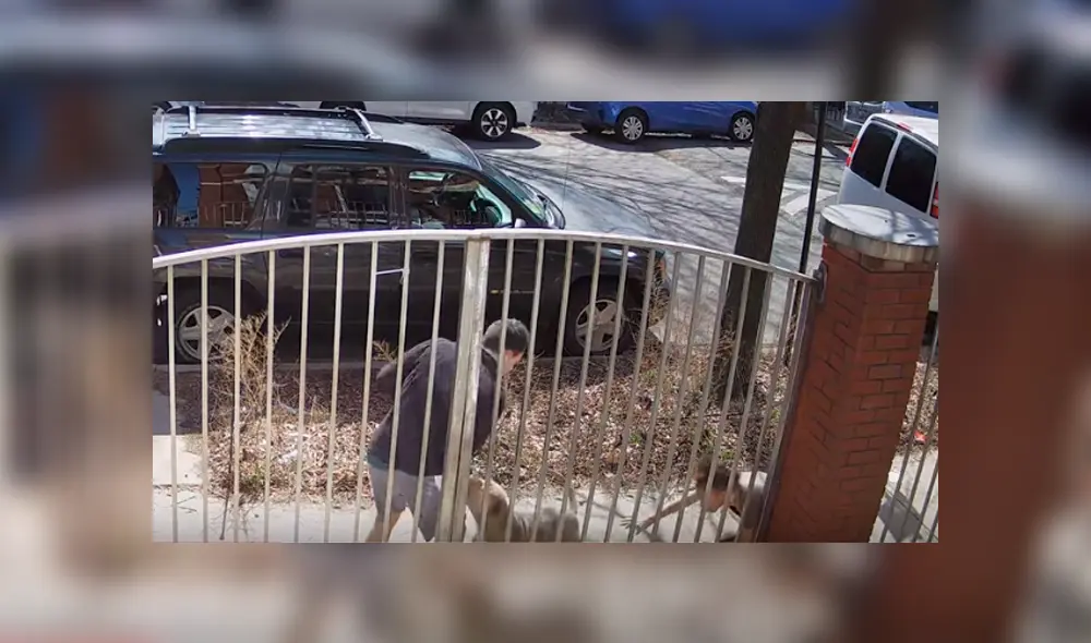 Desliza hacia la izquierda para ver imágenes de YouTube de la osada reacción del hombre que se enfrentó con un pitbull. Desliza hacia la izquierda para ver imágenes de YouTube de la osada reacción del hombre que se enfrentó con un pitbull.