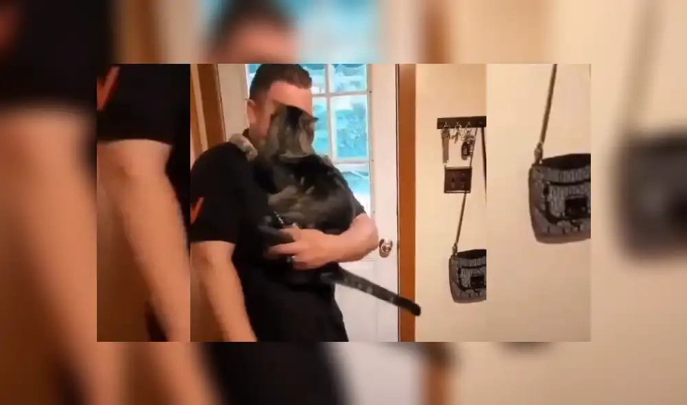 Video es viral en YouTube. Felino espera todos los días a su dueño en la puerta de su casa y le da un efusivo recibimiento cuando llega del trabajo. Fotocaptura: Twitter