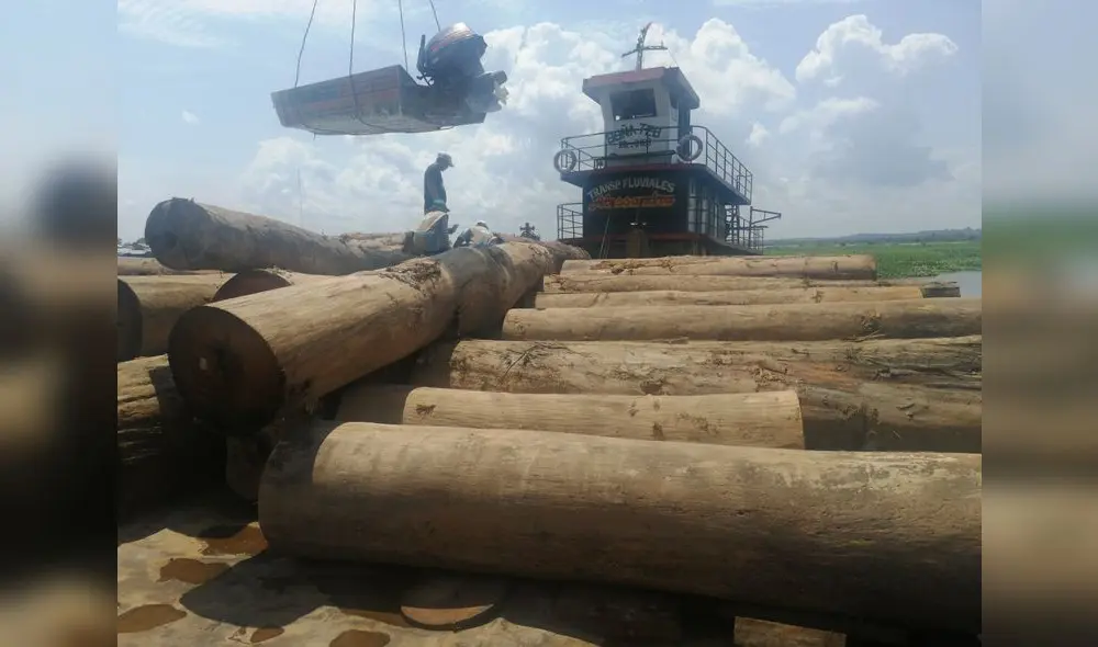 Trazabilidad de la madera: mecanismos para un desarrollo sostenible