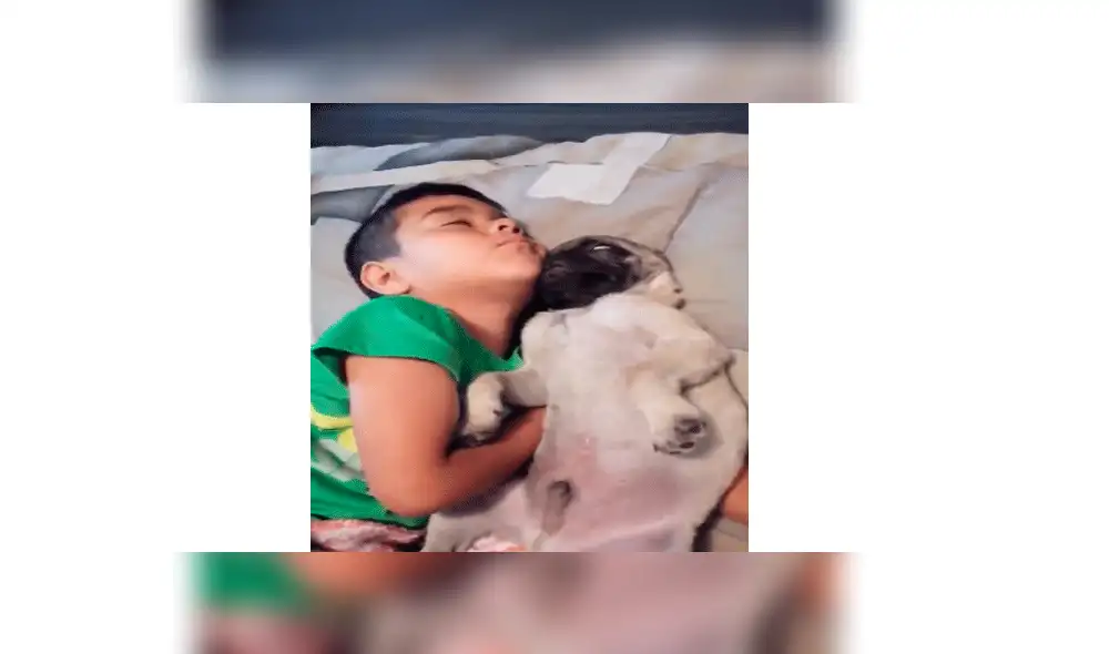 Papá llega a casa y encuentra a su perro e hijo en una conmovedora escena [VIDEO]