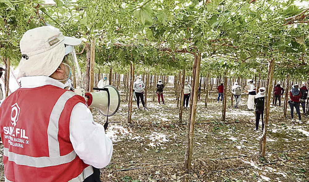 ley de promoción agraria