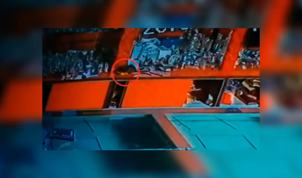 Facebook viral: rata 'ladrona' se instala en lujosa tienda de joyería y se lleva diamantes [VIDEO]