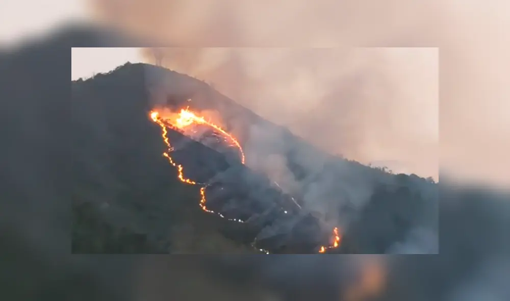 Incendio forestal en Chanchamayo amenaza a la ciudad de La Merced. Foto: Captura Incendio forestal en Chanchamayo amenaza a la ciudad de La Merced. Foto: Captura